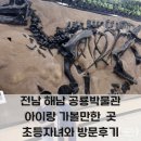 바다게임랜드 | 아이랑 가볼 만한 해남공룡 박물관 초등 자녀와 방문 후기