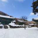 부안 짱아 Daum카페
