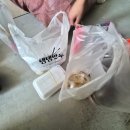 힐스테이트은파 | 군산 힐스테이트 은파 33평 아파트 리모델링 화이트 인테리어로 완성한 깔끔한 집