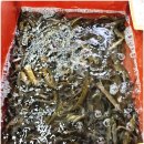 민물건강원 이미지