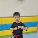 경희대장하태권도 이미지