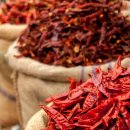 (주)비손테크인터내셔널 이미지