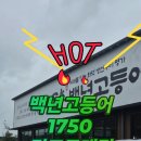 백년점큐사랑 | 김포 구래동 맛집 백년고등어1750 화덕생선구이 모듬정식 후기