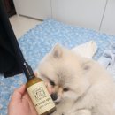 아흐브흐