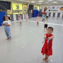 용인대 미르 태권도 이미지