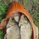 남풍소류지 이미지