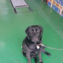 24시카센타 이미지