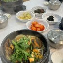 몽돌해물탕(대화점) | 청주맛집 맛있는 몽돌배기 방문 후기