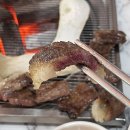 NR-7[원화로]-상-471 | 경주 소고기 맛집 소떼한우, 솜사탕처럼 살살 녹는 육회 예약 필수인 현지인 많은 식육식당