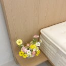 리빙홈마켓 | 꽃바구니 당근마켓 3만원 구매 득템 후기 생화 꽃꽂이 보관법 팁