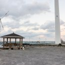 푸른신창 이미지