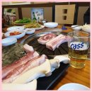 조코제주똥돼지 이미지