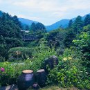 여기,초록 이미지