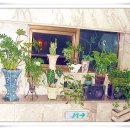 찬미제2농장 이미지