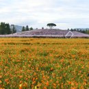 신소양체육공원 이미지