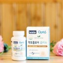 켄디코리아