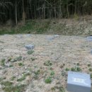 서재필박사 본가지 이미지