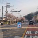 2023 대청호 벚꽃길 마라톤 대회 | 연습없이 두 달만에 참가한 &#39;대청호 벚꽃길 마라톤 대회&#39;에서 역대급 기록 달성??