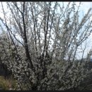 삼미농장 이미지