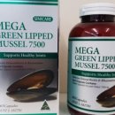 시니 케어 이미지