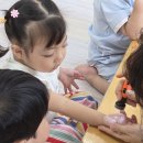 영어:곤충그림카드찾기~Ladybug, Butterfly, Caterpillar, Spider, Dragonfly 이미지