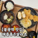 대호카프라자 | 은평구 불광역 돈까스 맛집 "해를품은달카츠" 찐후기