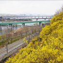 달맞이근린공원 이미지