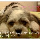 가평별장펜션
