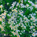 삼주1공인중개사사무소 이미지