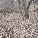 귀산 농장 이미지