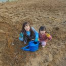 아지네농장 이미지