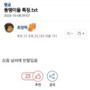 이샘가발 | #10-2