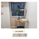 묘랑 고양이 전문호텔 | 안양 고양이 호텔 묘랑묘랑, 이삿날 이용한 솔직후기