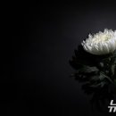 유진문화사 - 중구 마른내로4가길 16-8 | 유진문화사