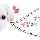 삼도제주보쌈 이미지
