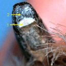 위례S동물의료센터 이미지