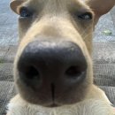 김안과의원 | 청주 김안과 후기(1) 시력교정센터 검사