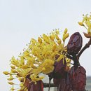 앤앤지(주) 네이버블로그