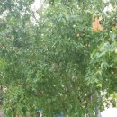 버스정류장 : 나무와중학교앞 이미지