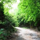 시냇가펜션 이미지