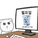 와따참치 | 가오리 와따... 라세느와 말차 블글라 후기를 곁들인