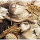 기영농원 이미지