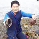 사흘 동안의 전복사냥 이미지