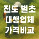 진도벌초대행 | 진도 벌초대행업체 비용 견적 후기