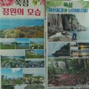 쑥섬이야기