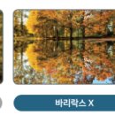 씨채널안경 백천점
