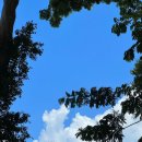 핫!Dog | 하와이태교여행 노스쇼어 명물 지오반니 새우트럭 솔직 후기 (feat.주차, 화장실)