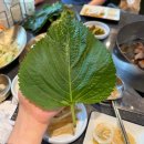 태백한우정육식당 | 동백 맛집 고기집 [동백한옥집 숯불구이 정육식당] 어정역 정육식당 한우등심, 삼겹살, 목살 솔직후기