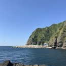 섬꽃향기 민박 | 2박 3일 울릉도 자유여행 2탄 :: 나리촌식당, 섬꽃향기민박, 행담해안산책로 (일정공유, 에어비엔비...