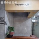 용인숲요양원 이미지